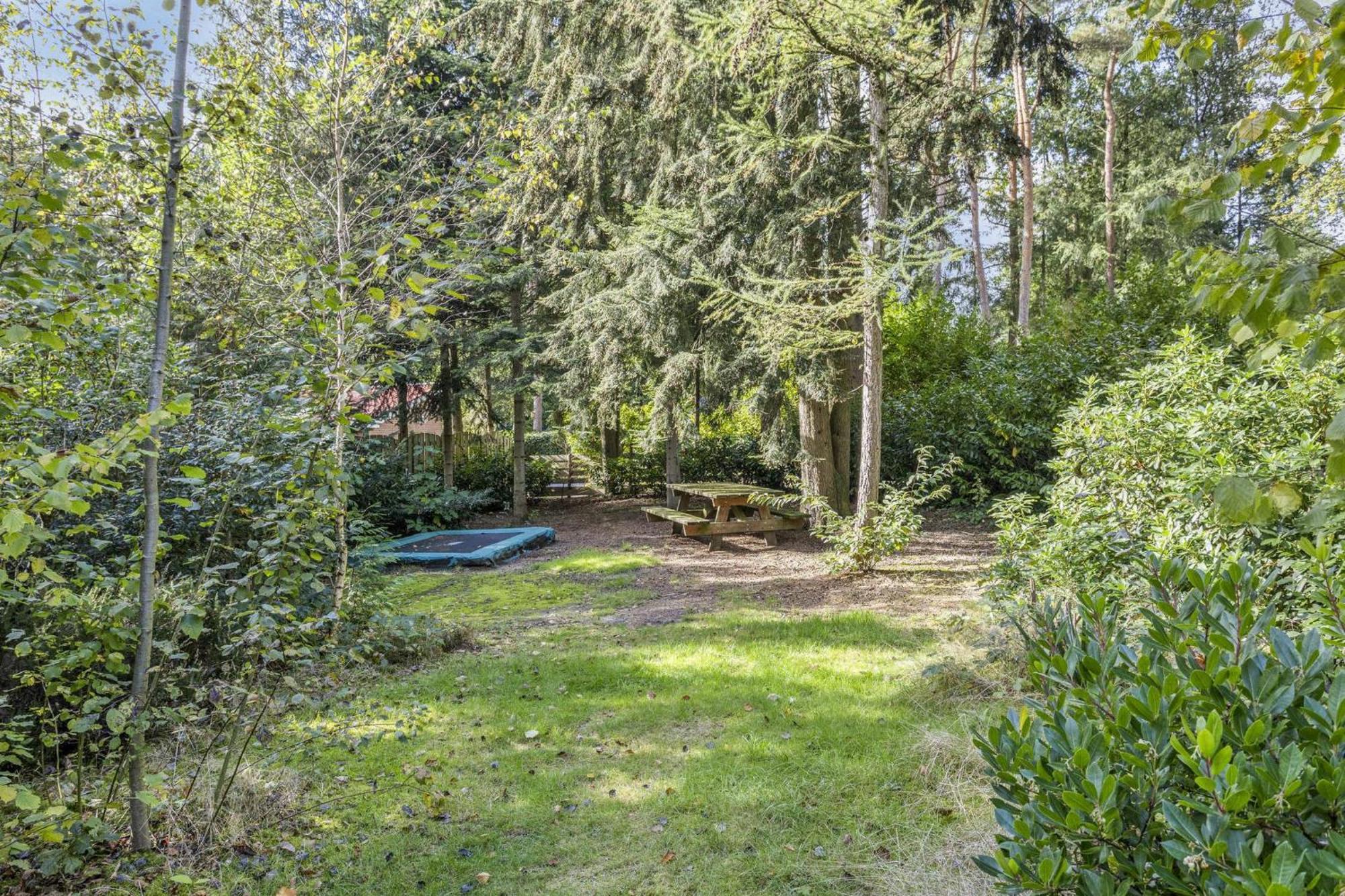 Relaxen In Het Bos Met Privesauna Holten Exterior foto