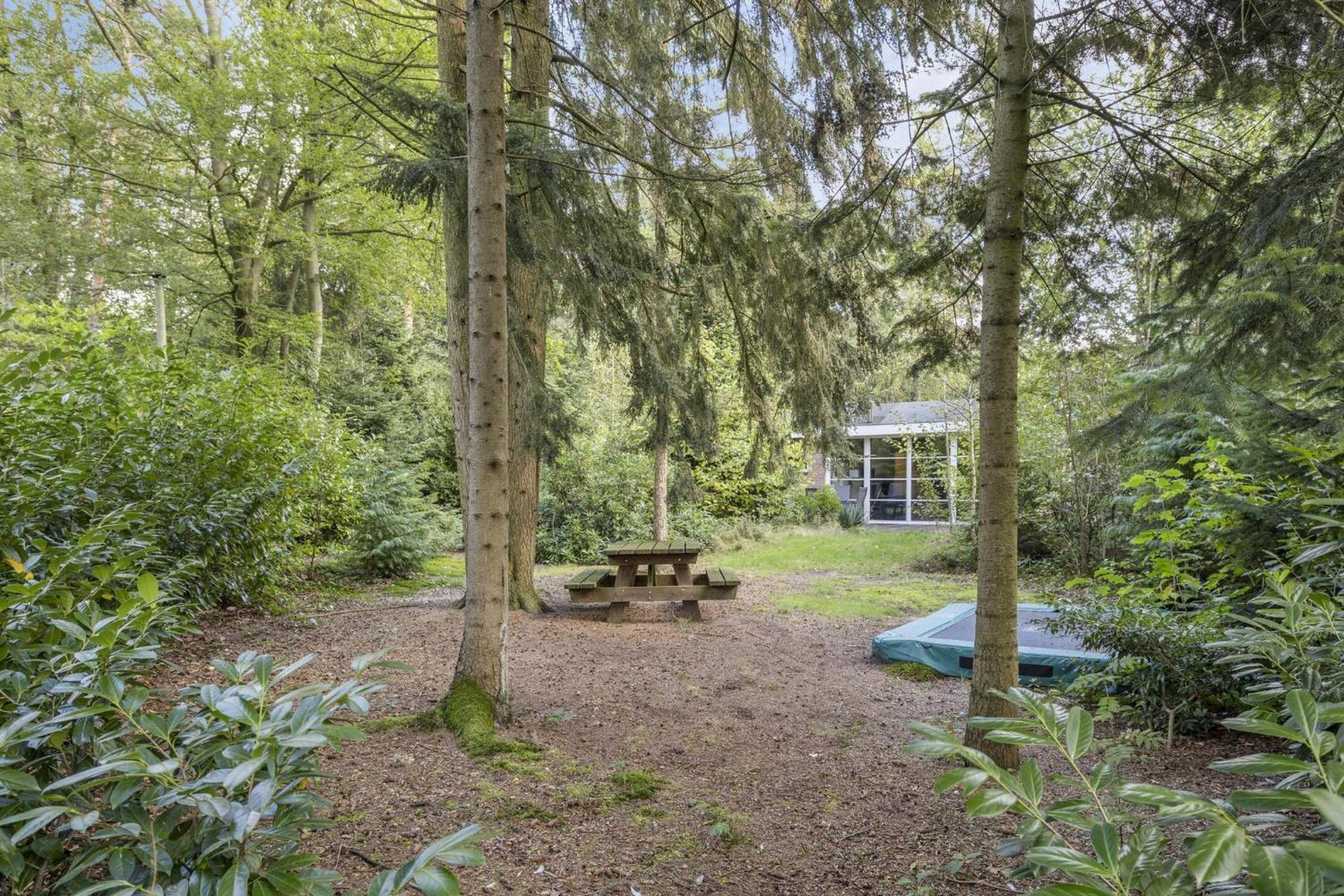 Relaxen In Het Bos Met Privesauna Holten Exterior foto