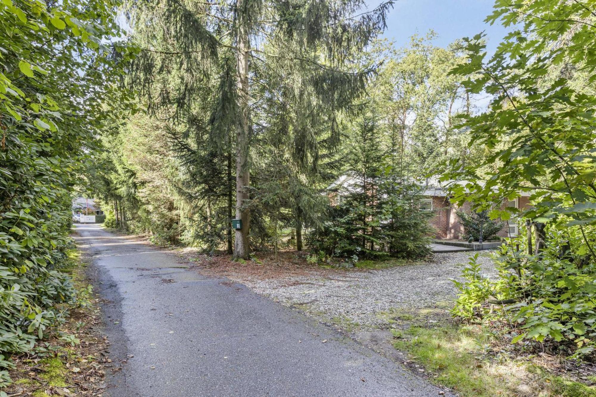 Relaxen In Het Bos Met Privesauna Holten Exterior foto